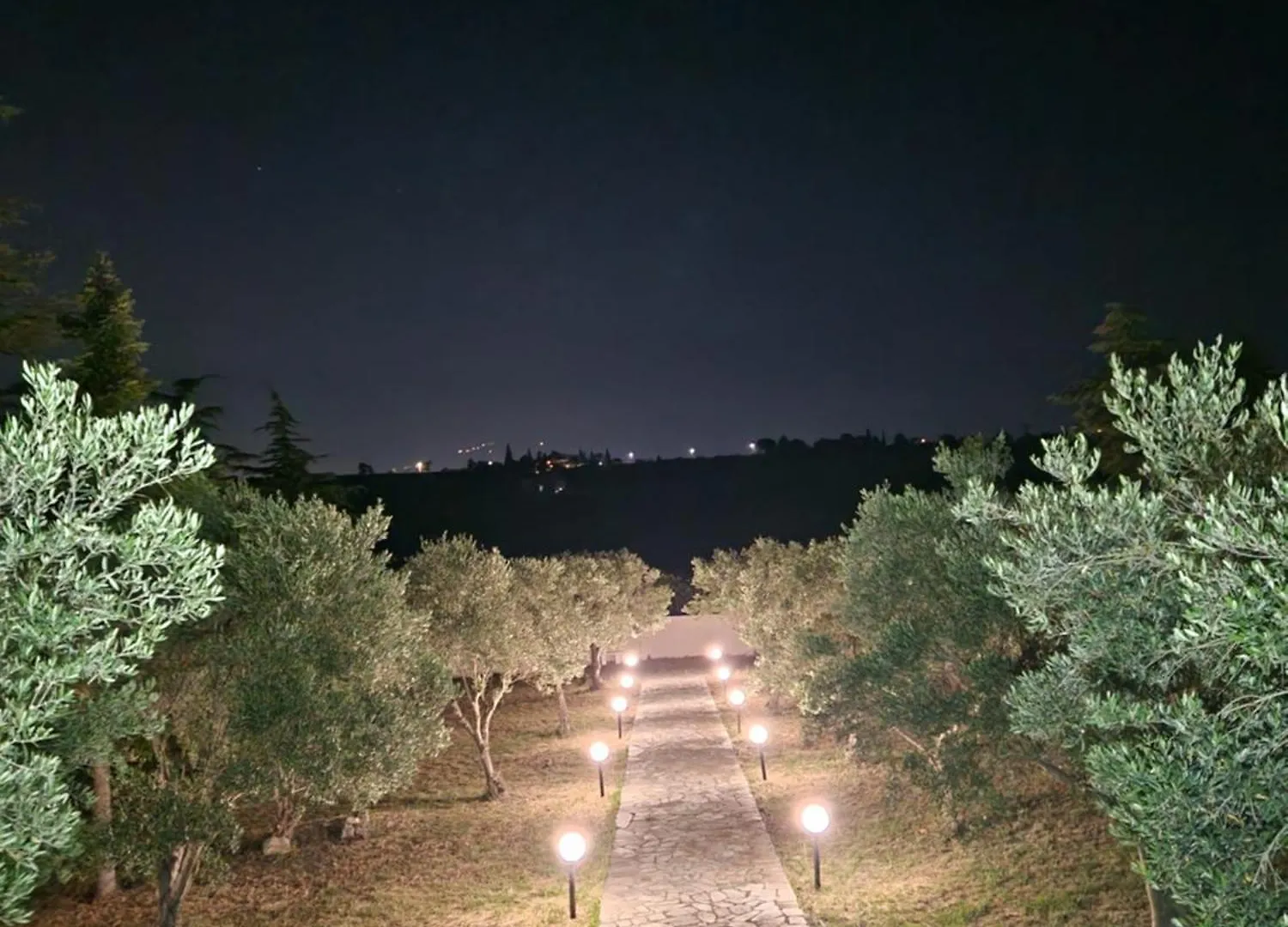 Villa Olive Neo Epivates 0*,  Greece